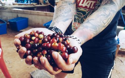 มารู้จักรสชาติของกาแฟแต่ละทวีปกัน