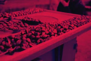 SINGLE ORIGIN & BLEND