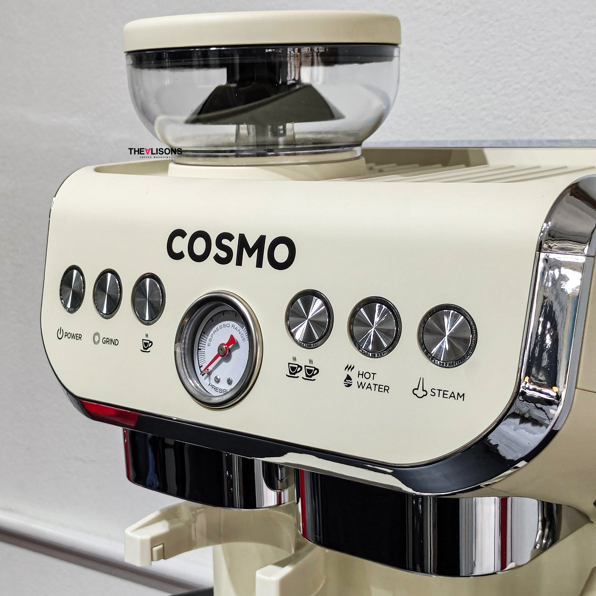 COSMO IVORY 1 GR. - Image 4